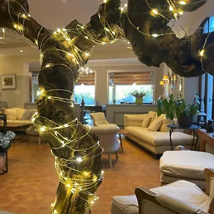 Berneron Hotel Vallon-Pont-d'Arc